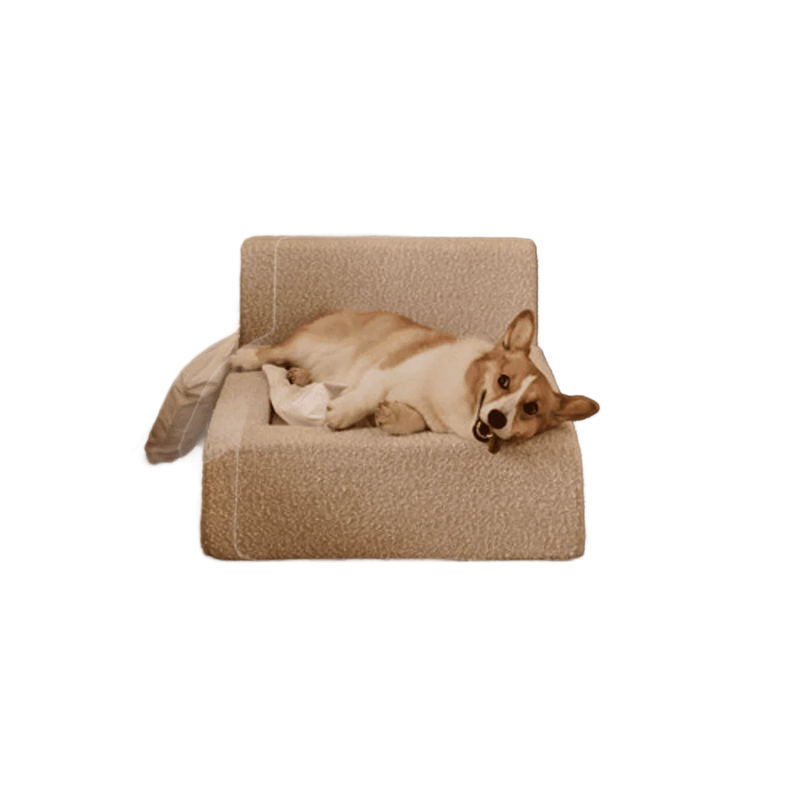 Orthopedic Beds