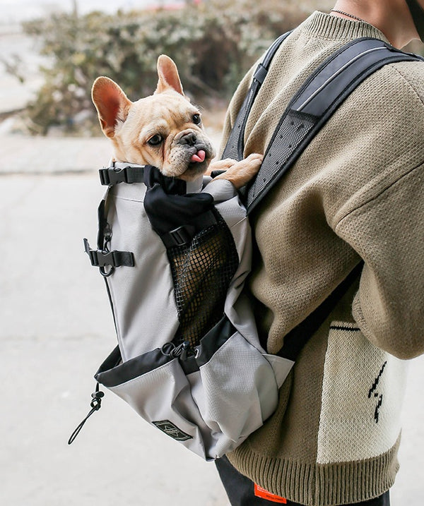 Pet Dog Carrier Bag Carrier For Dogs Backpack Out Double Shoulder Portable Travel Backpack Outdoor Dog Carrier Bag Travel