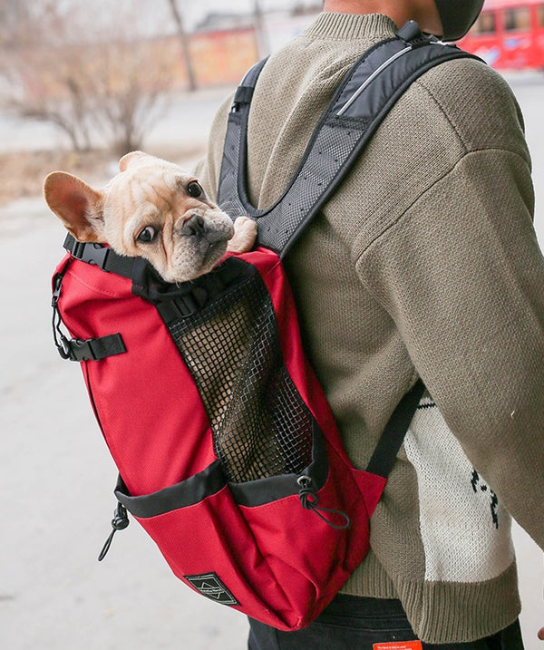 Pet Dog Carrier Bag Carrier For Dogs Backpack Out Double Shoulder Portable Travel Backpack Outdoor Dog Carrier Bag Travel