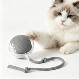 Electric Interactive Rolling Pet Ball view 1