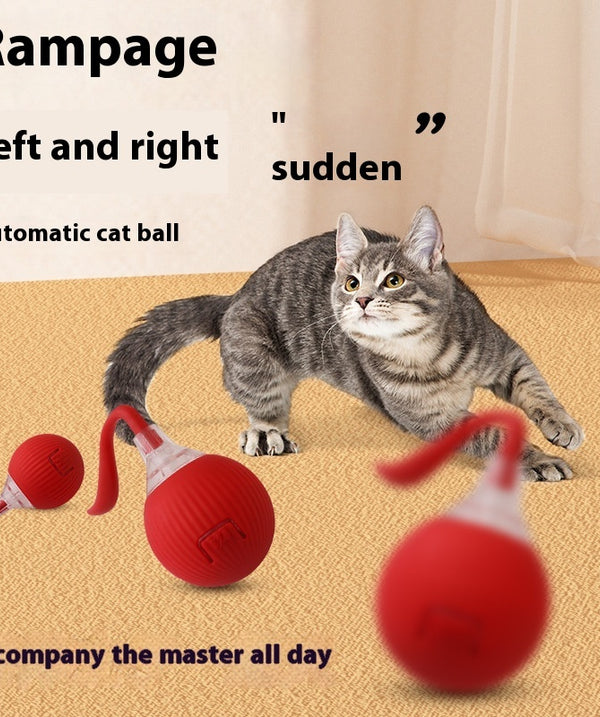 Interactive Cat Toy Ball Super Drive Cat Rolling Ball