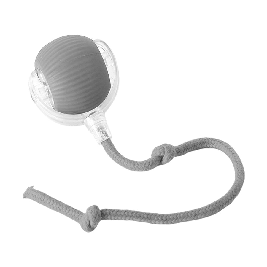Electric Interactive Rolling Pet Ball