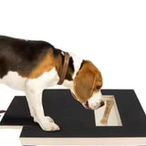 Wooden Pet Scratching Board for Dogs & Cats view 4